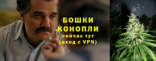 молекула духа Володарск