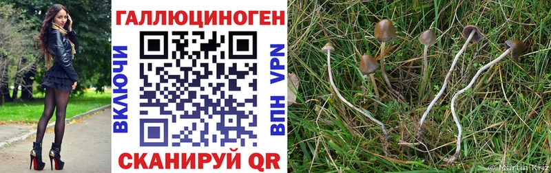 Галлюциногенные грибы мицелий Старый Оскол